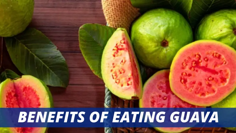 Benefits of eating guava